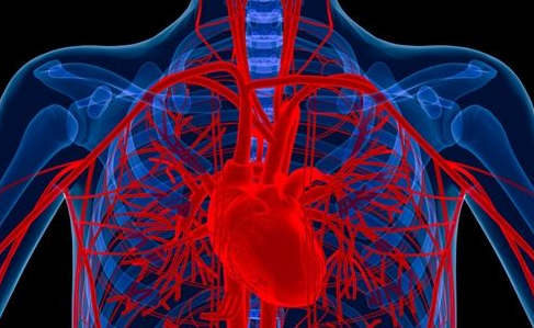 动态心电图怎样监视心脏