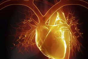 如何保护心脏健康