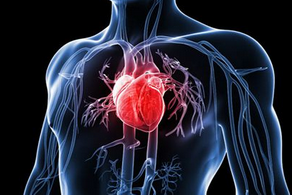 心脏支架手术后寿命一般是多久