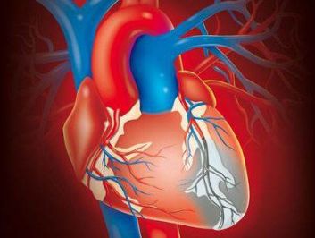 风湿性心脏病前期要注意哪些事项